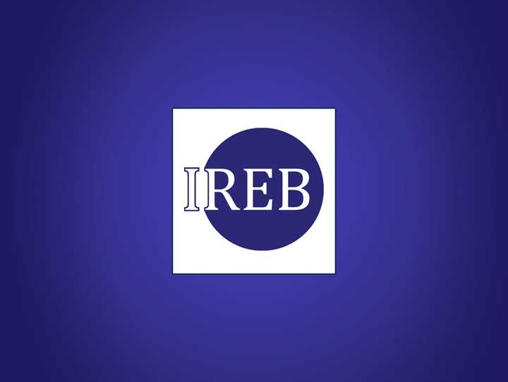 91318 - IREB Requirements Engineering Foundation