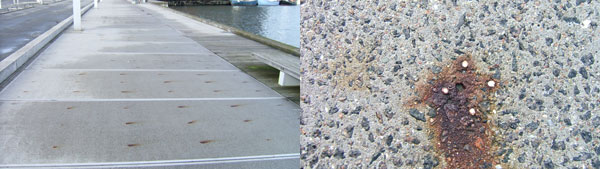 Billedet viser et eksempel p rustende armering som flge af drlig vedhftning mellem afstandsholder og beton