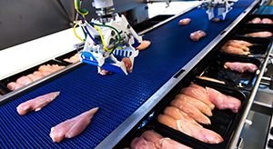 robotgriber der lfter kyllingefilet af transportbnd