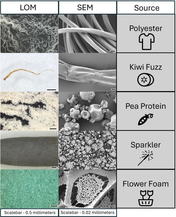 The image shows LOM and SEM of: polyester, kiwi fuzz, pea protein, sparkler, and flower foam
