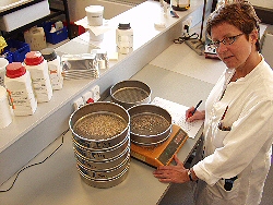 Billedet viser vejning af r�materialer til brug ved kemiske analyser af tegl og m�rtel