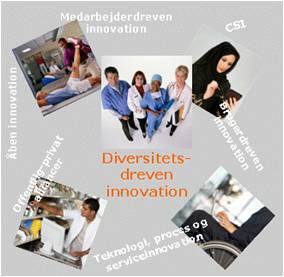 DINOVA -diversitetsdreven innovation