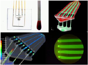Cell separation structure