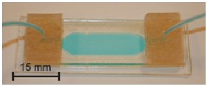 Cell chamber system