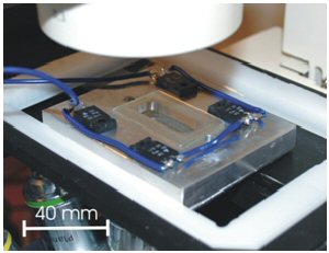 Incubation chamber - A