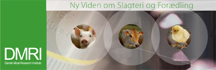 Et nyhedsbrev om projekter, nye produkter og teknologi og den nyeste forskning