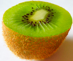 Kiwifrugt