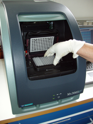 PCR 12 Salmonella