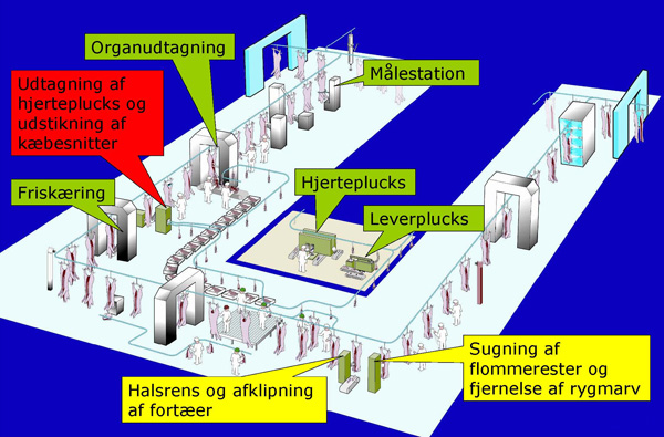 Automatisering_slagtegang
