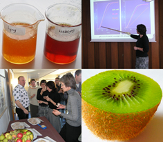 Seminar om marinering af svinekød