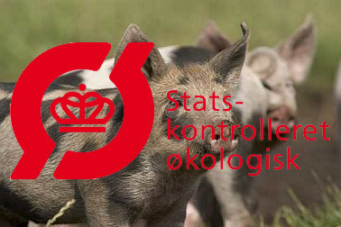�kogrise