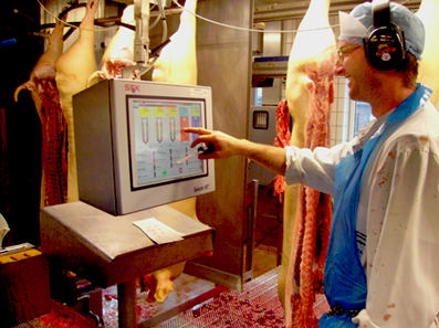 Vet system