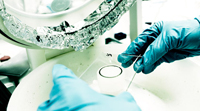 N�rbillede af h�nder med handsker p�, som holder en gennemsigtig plade med noget materiale p�