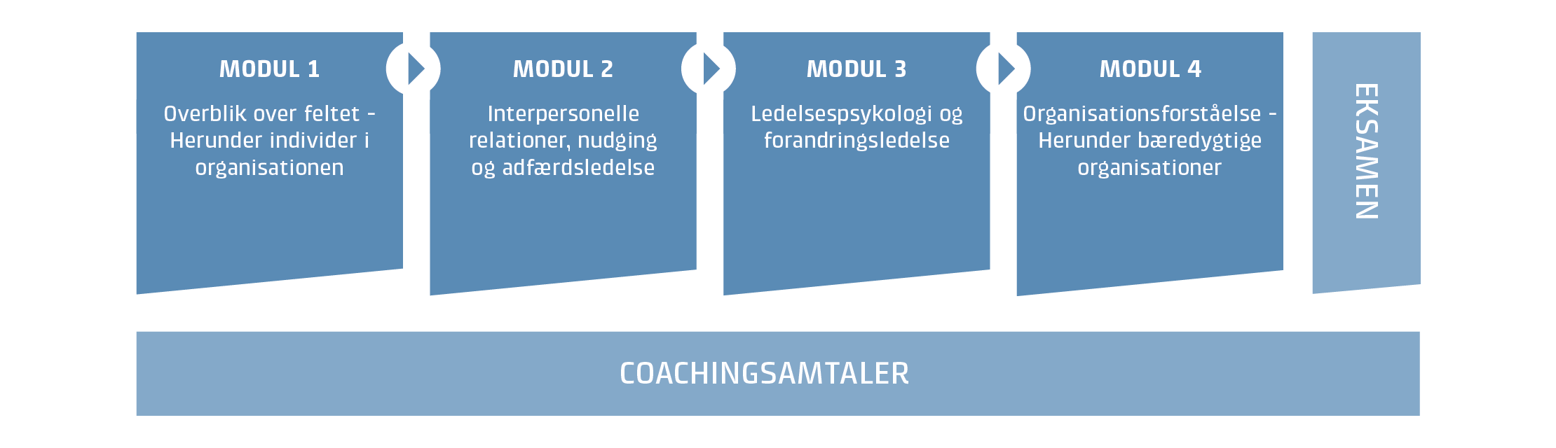 90006_moduloversigt 2022