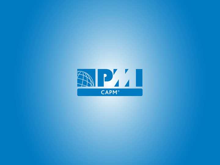 72879 - Online kursus: Project Management Professional (PMP®)