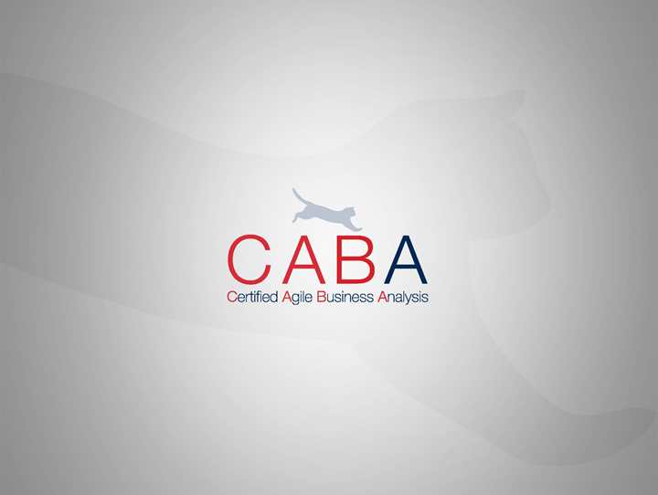 89066 - Certified Agile Business Analyst