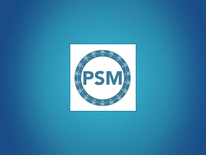 87591 - Professional Scrum Master (PSM)