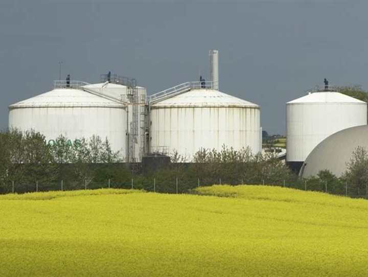 Biogasanlæg bag rapsmark
