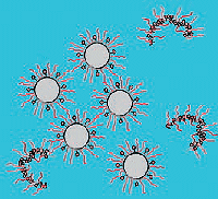 Principskitse for adsorption af modificerede polycarboxylater p cementpartikler. Cementpartiklerne frastder hinanden pga. "steriske hindringer", nr de adsorberede molekyler begynder at overlappe hinanden.