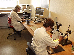 Billedet viser laboranter i færd med at udføre kemiske analyser af murværk