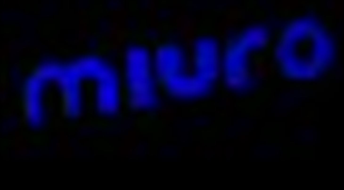 Der står Miuro med blåt på sort baggrund