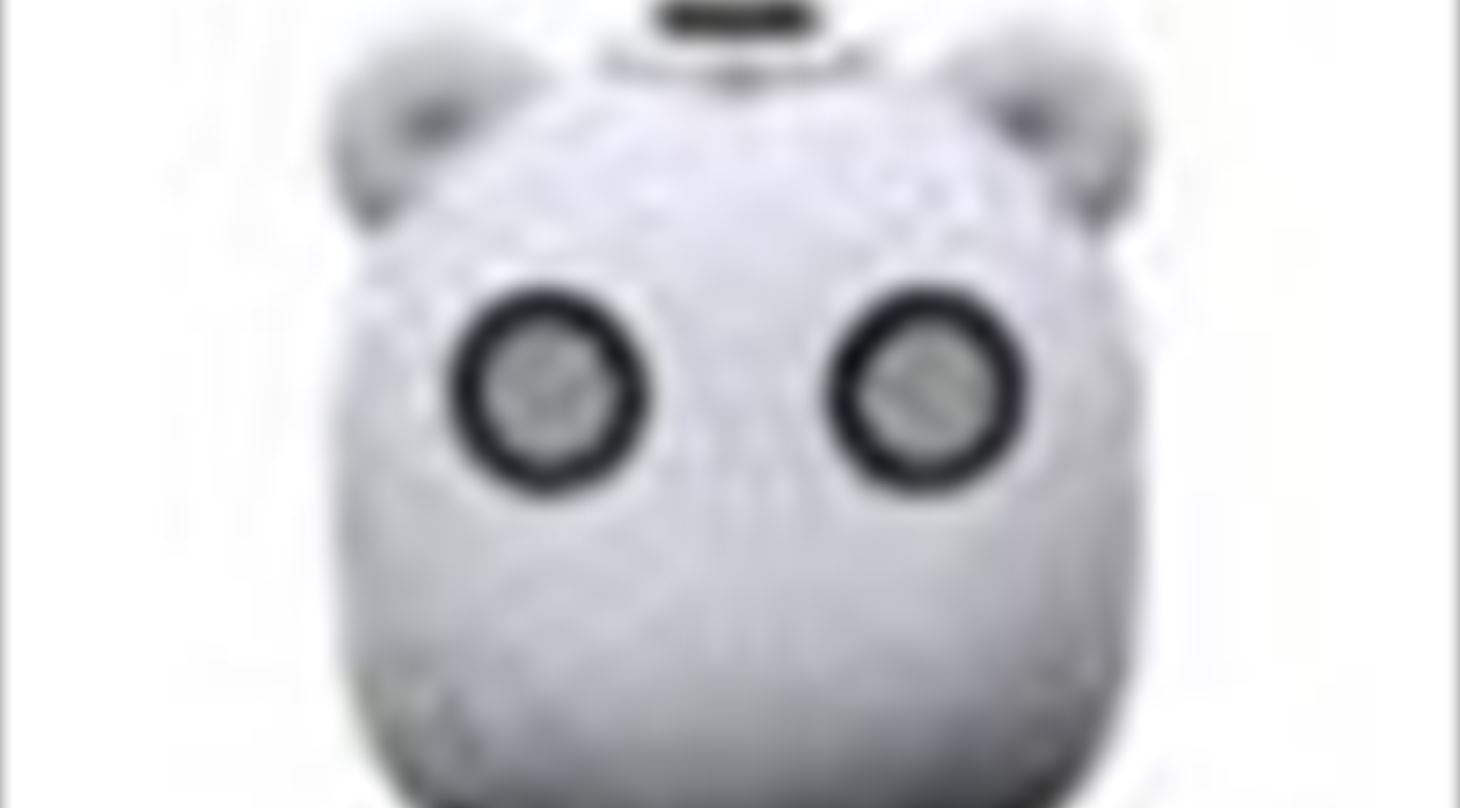BEAR_thumbnail
