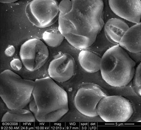 Mikroskoperingsfoto af mikrokapsler