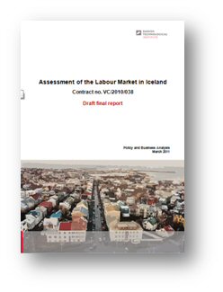 Rapport - Kontrakt - Det islandske arbejdsmarked