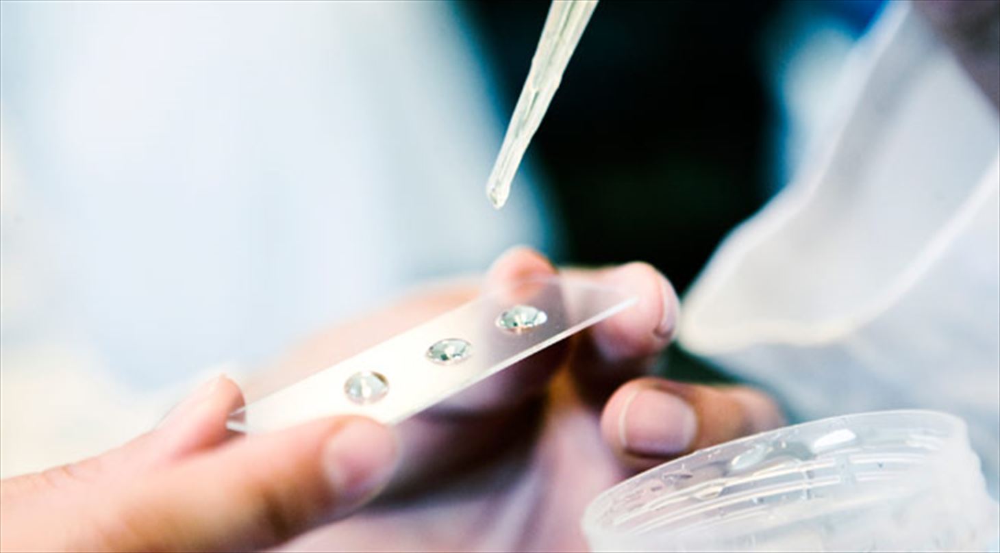 Mikrobiologisk sikre kødprodukter
