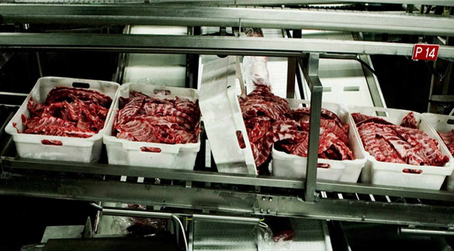 Automatiske målesystemer til kødindustrien
