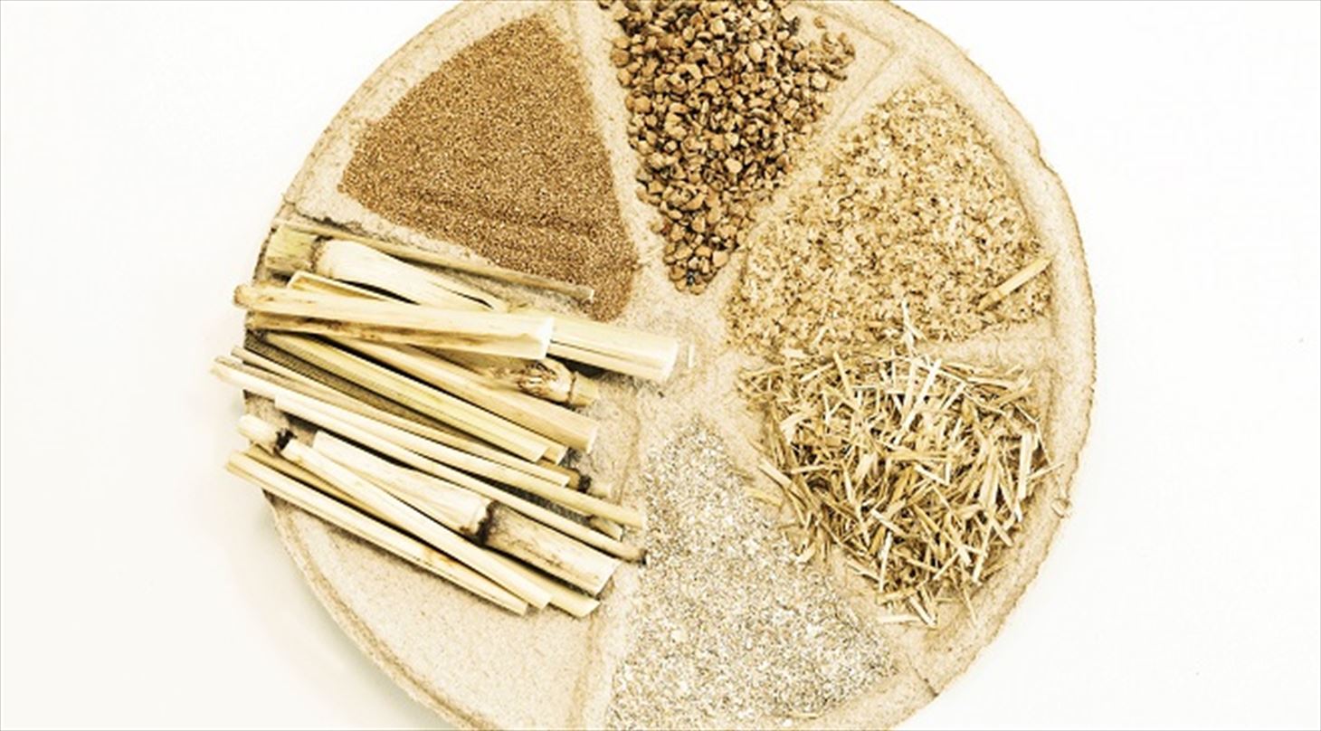 T�rfraktionering - det biobaserede samfund