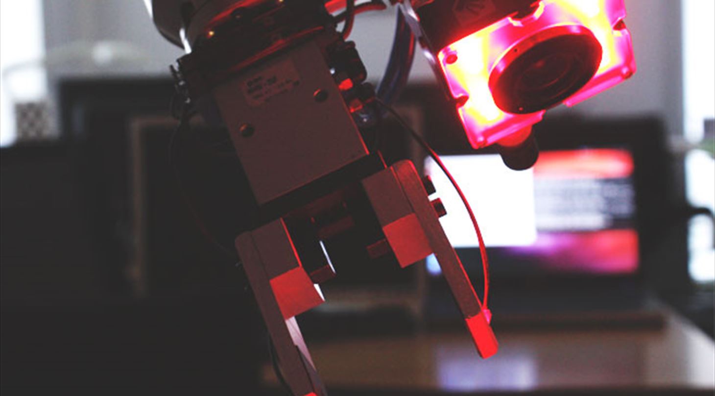 Robot med vision