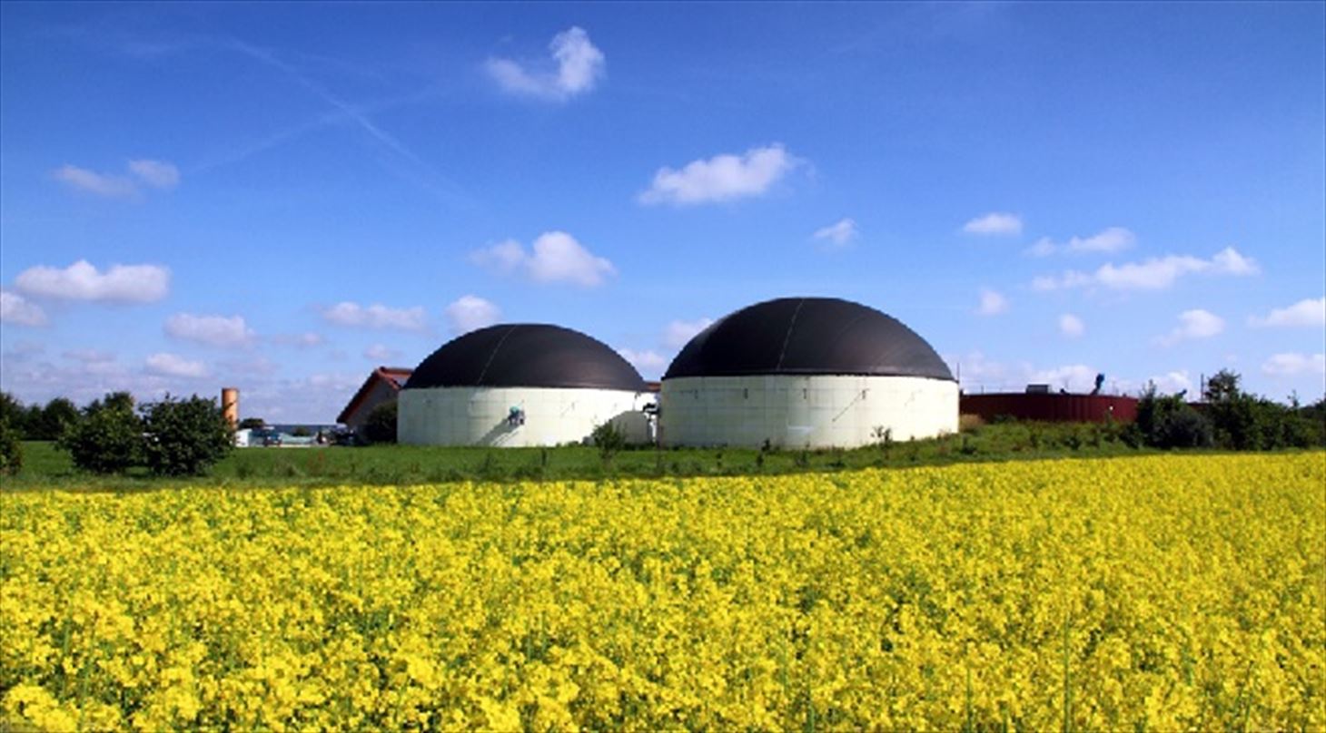 Biogas det biobaserede samfund
