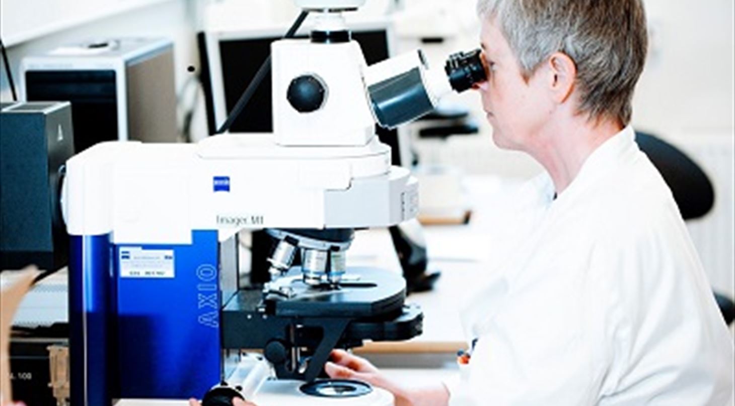 Analyse af dieselpest