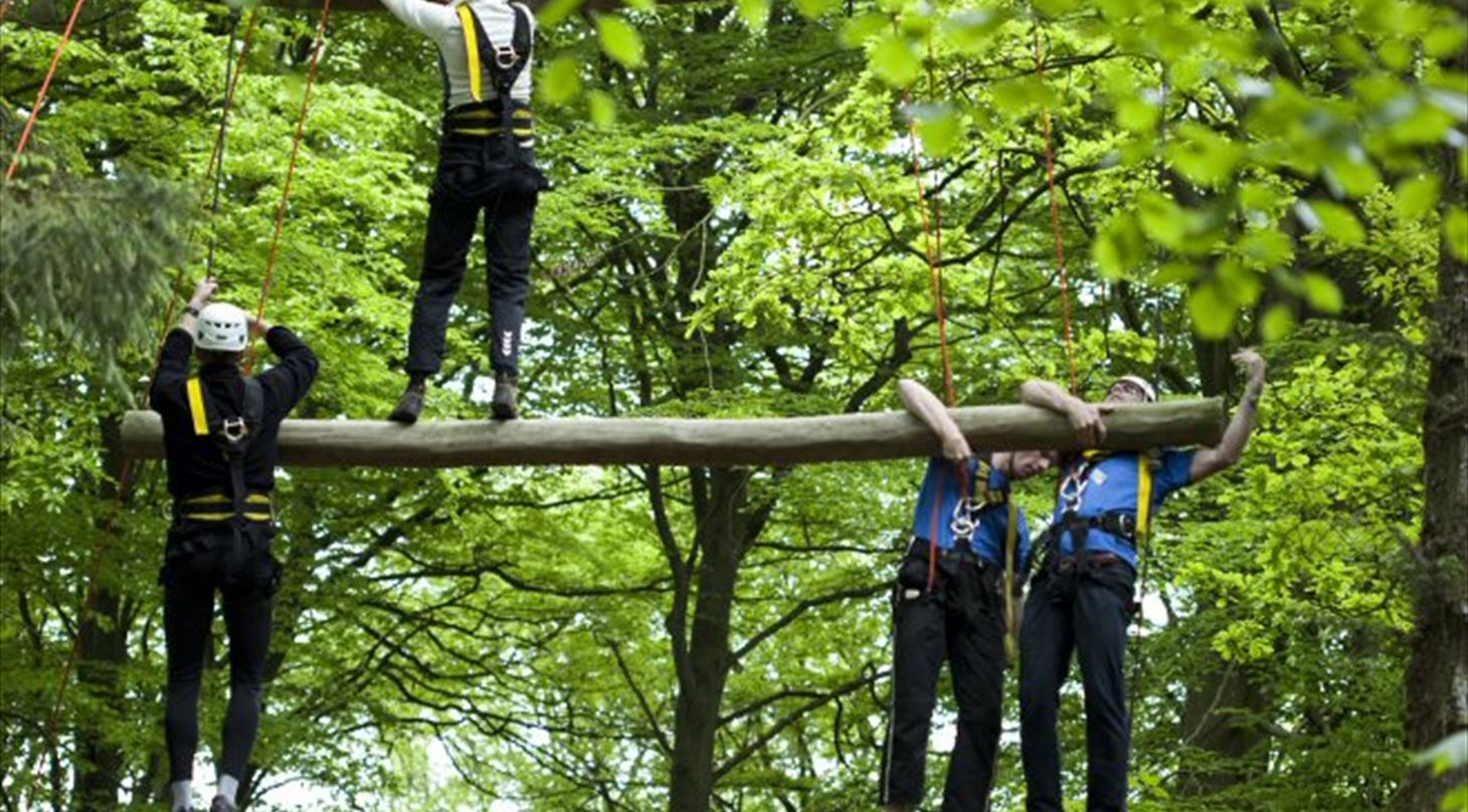Teambuilding