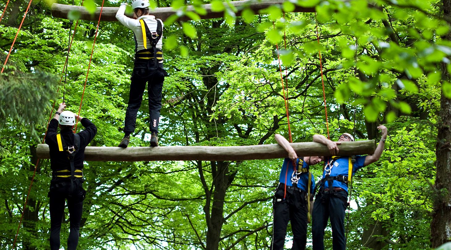 En gruppe mennesker på teambuilding i en skov.