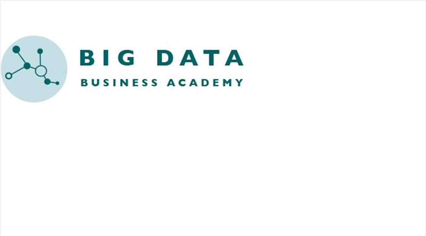 Logo for Big Data Business Academy