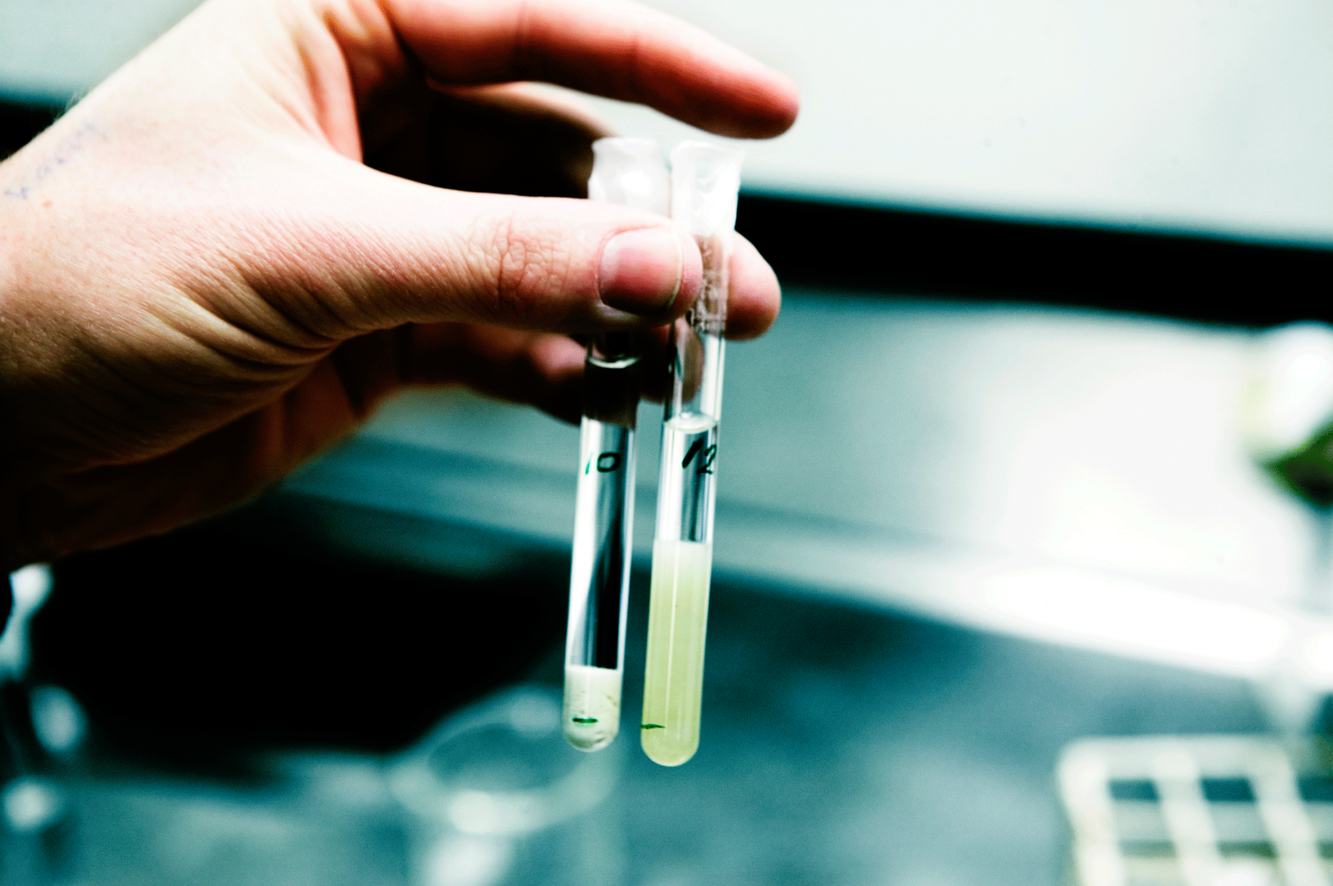Anvendelse af nanomaterialer i den danske industri