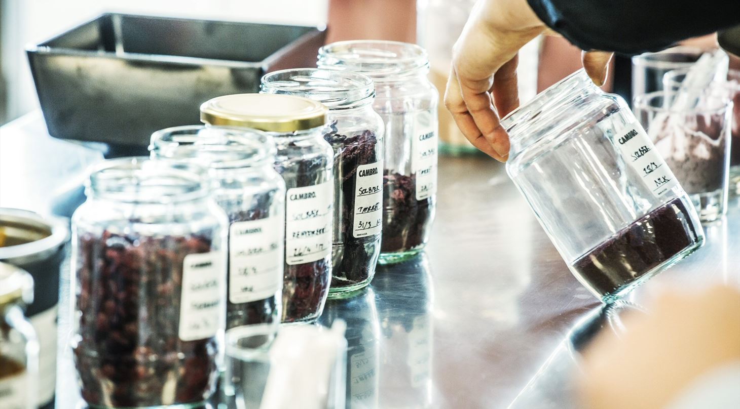 Solbær i FoodTure Lab