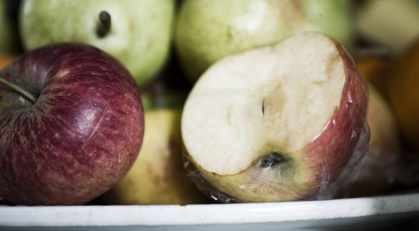 Antioxidanter