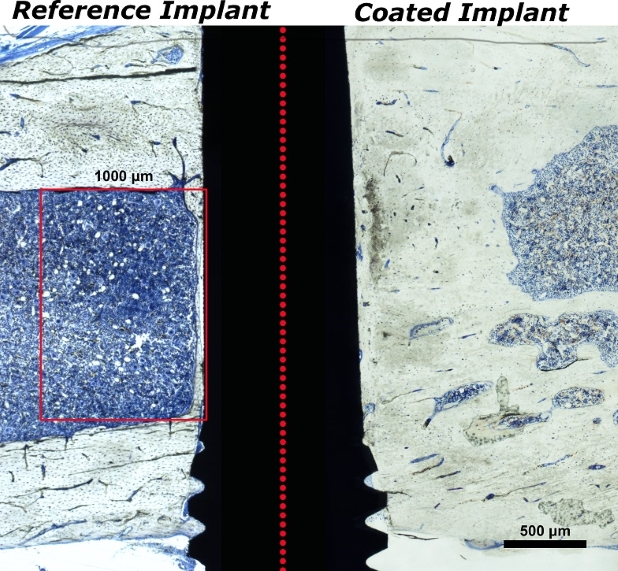 In vivo comparison