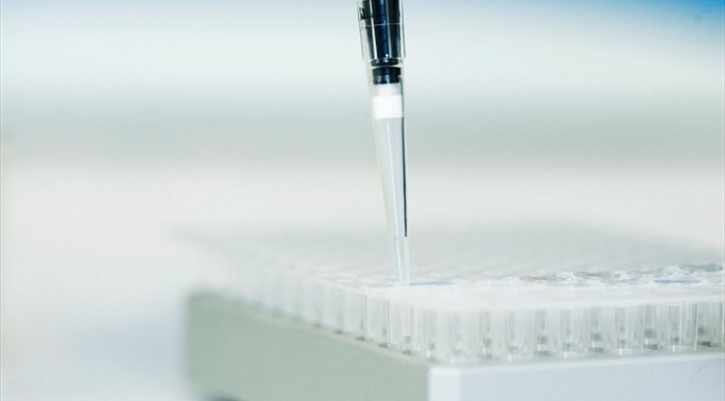 Molekylærbiologiske metoder