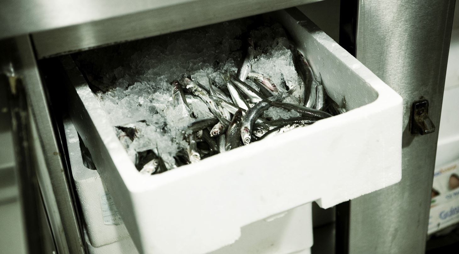 fisk i EPS kasse med is