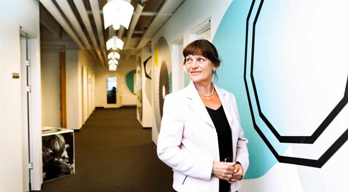 Direktør Jane Wickmann, Erhvervsudvikling