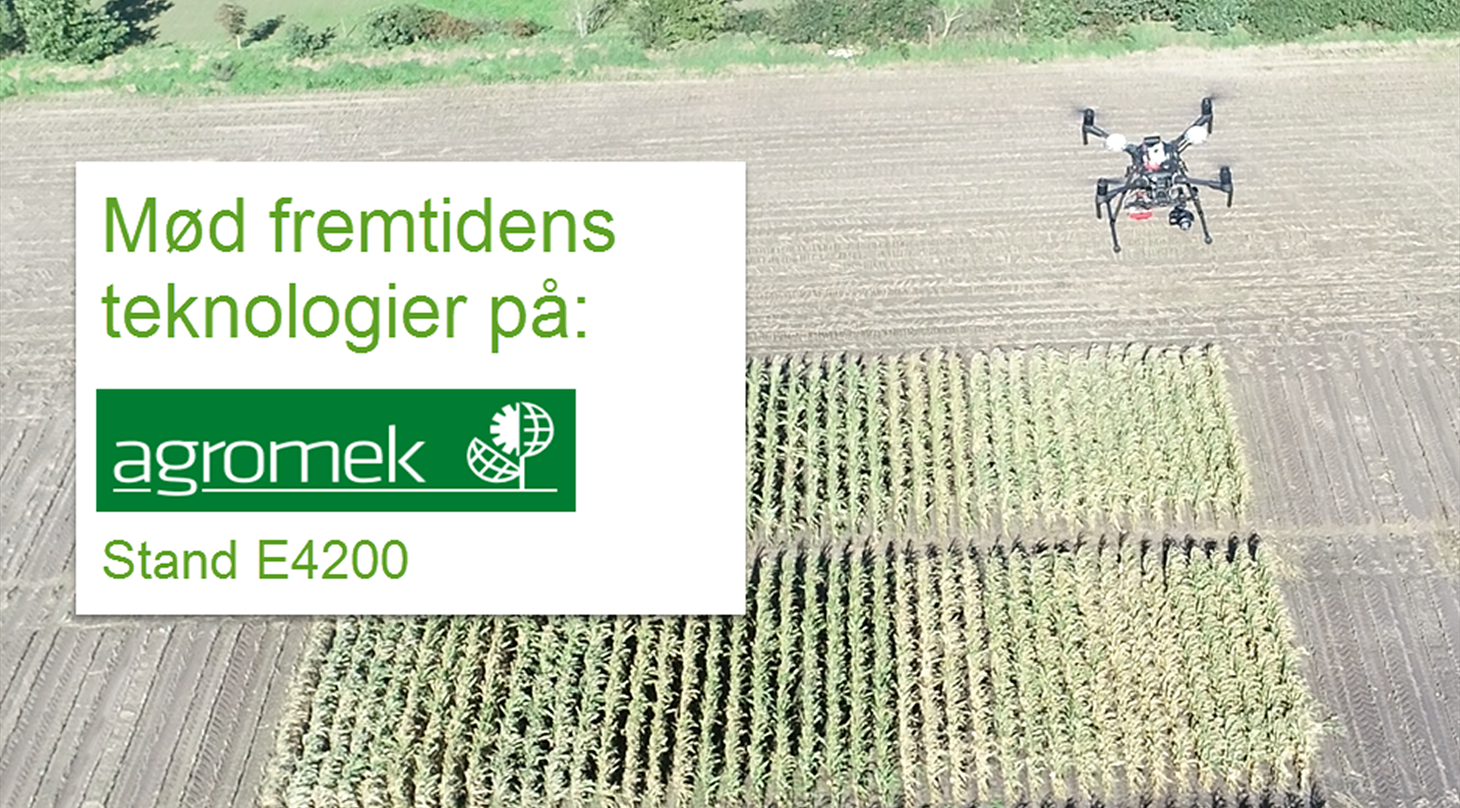 Drone i majs