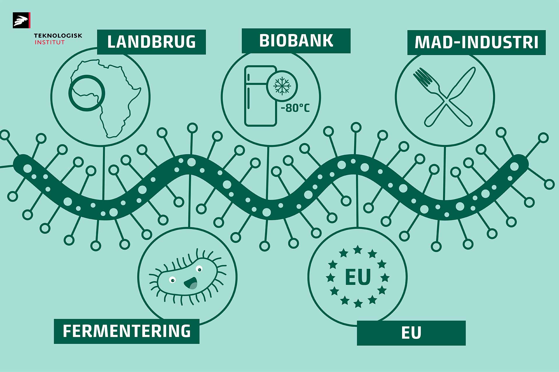 Forklarende grafik, der viser trinene for fermentering fra mark til frdigt produkt