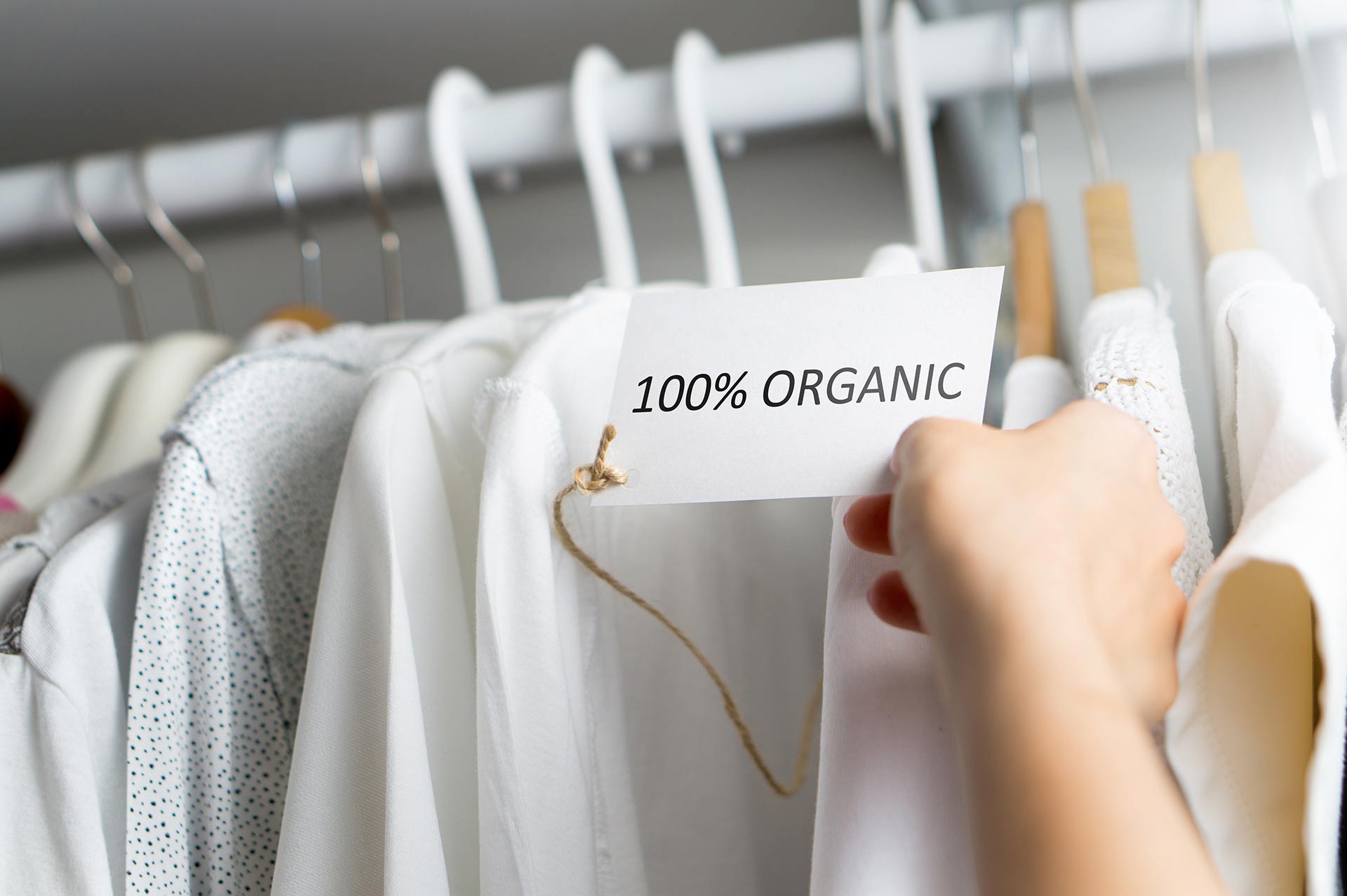 Hukommelse Merchandiser fordel Hvad er økologisk tøj - Ydelser - Teknologisk Institut
