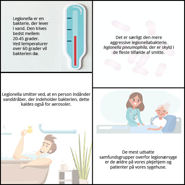 Legionella rigtigt format