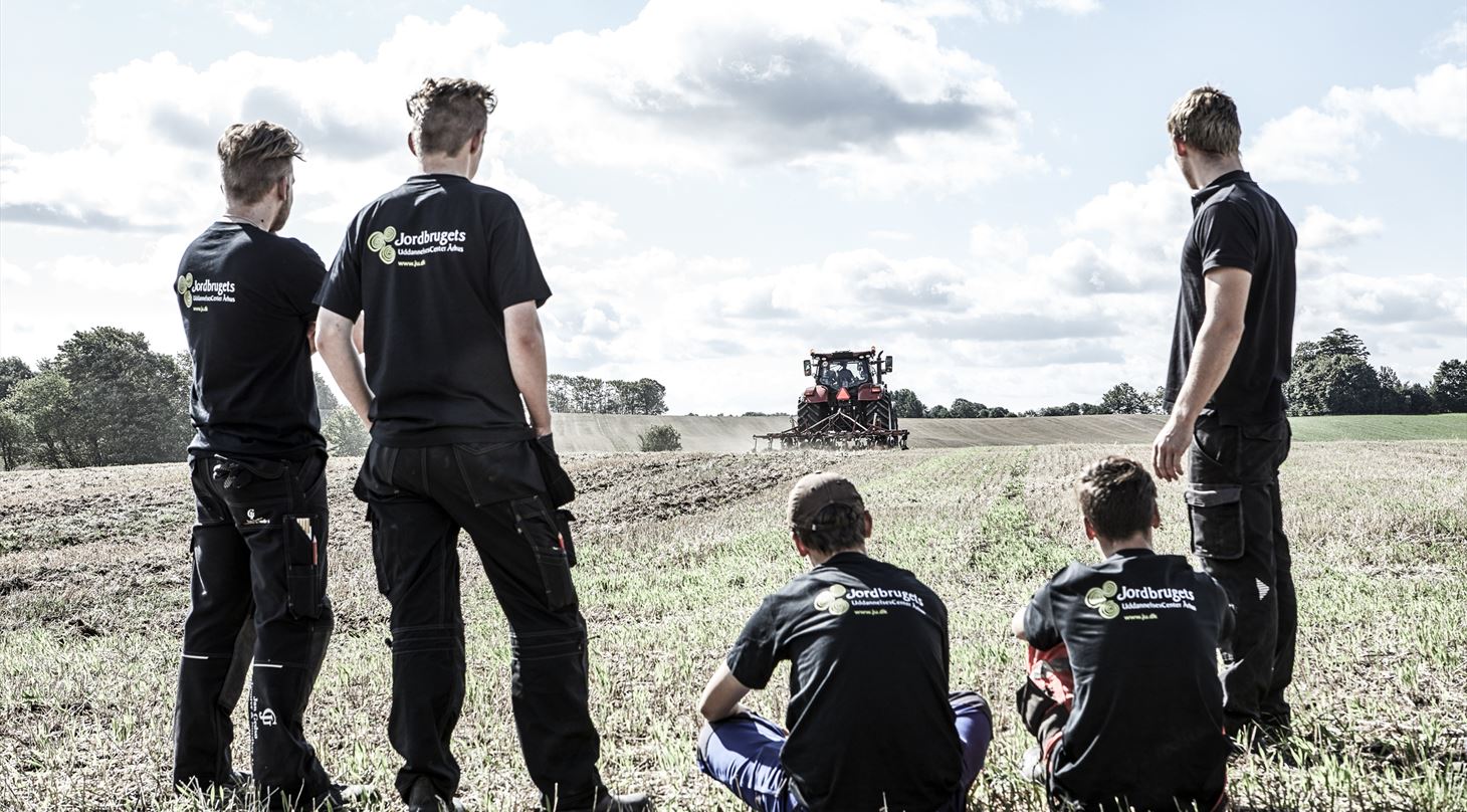Billedet viser ryggen af fem unge mennesker, der står på en marrk og kigger efter en traktor.
