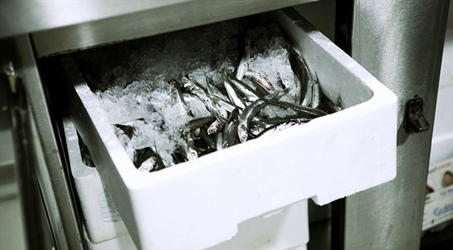 Kølekasse med fisk